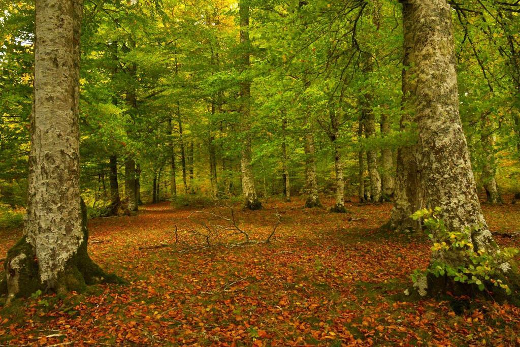 Casa Rural Lenco Zilbeti Bagian luar foto